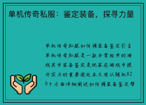 单机传奇私服：鉴定装备，探寻力量
